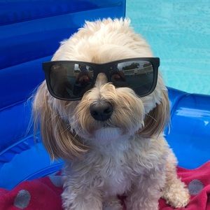 Meet your Posher, Sergio